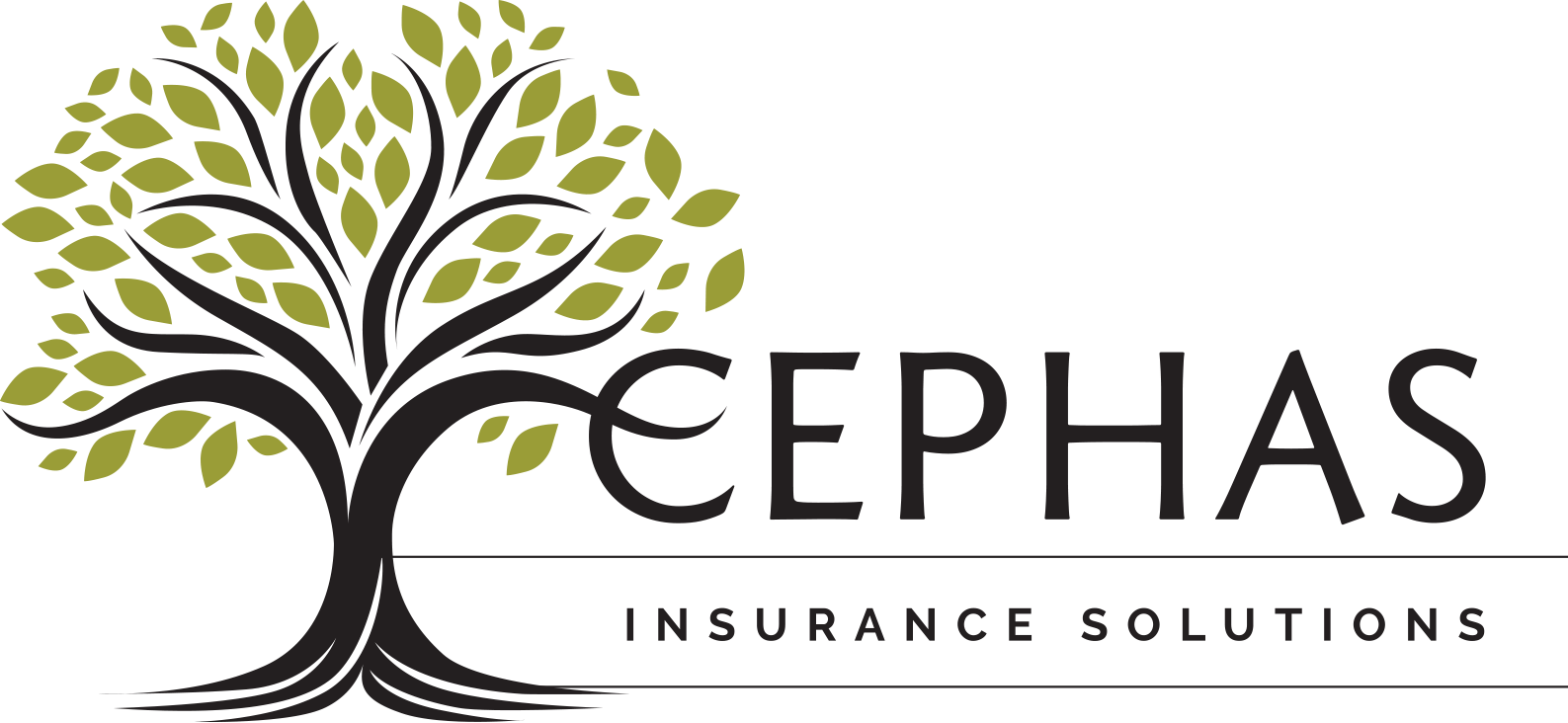 Cephas Insurance Solutions